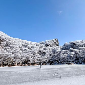 完全凍結してました