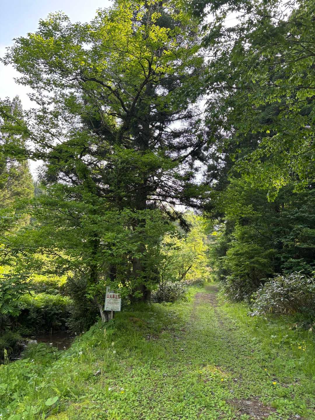 神社前に車を停めて、東松瀬から出発