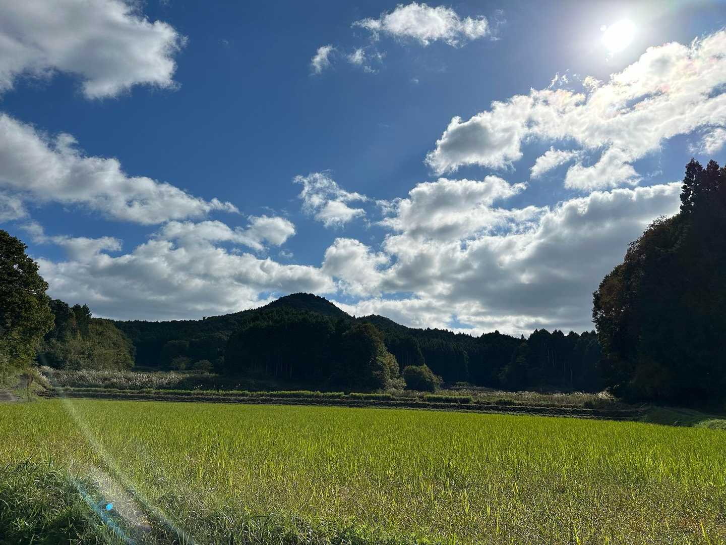 下りてきて振り返ると、ついさっきまで登ってた都介野岳が綺麗に見えていました🤩✨⛰️