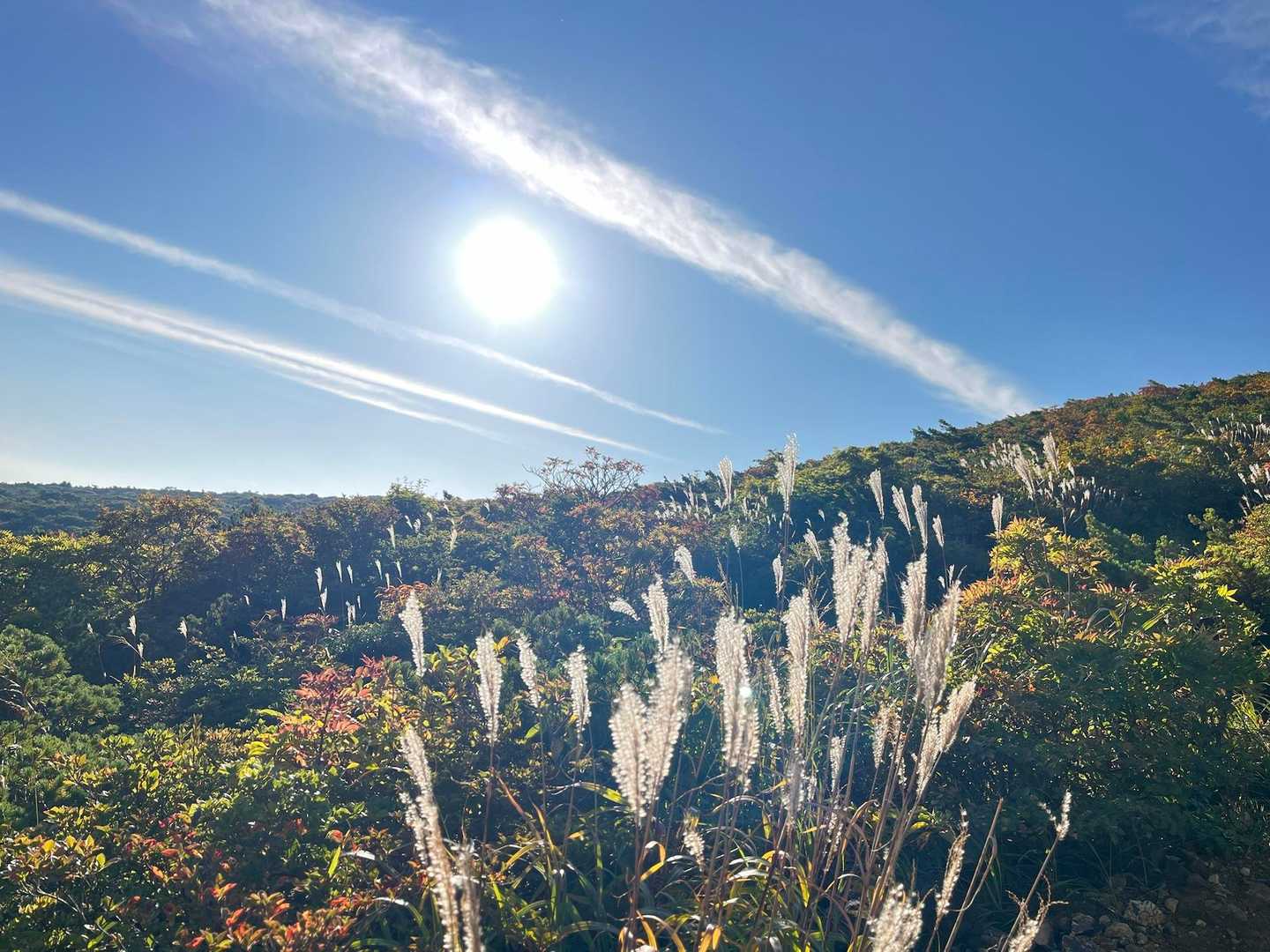 これもあーきー🍁🍁