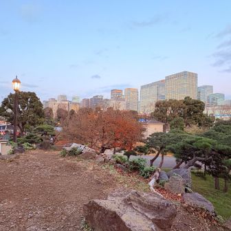 山頂からの眺め