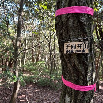 子向井山ピークゲット⛰️
まだまだザレ場が続きます😵