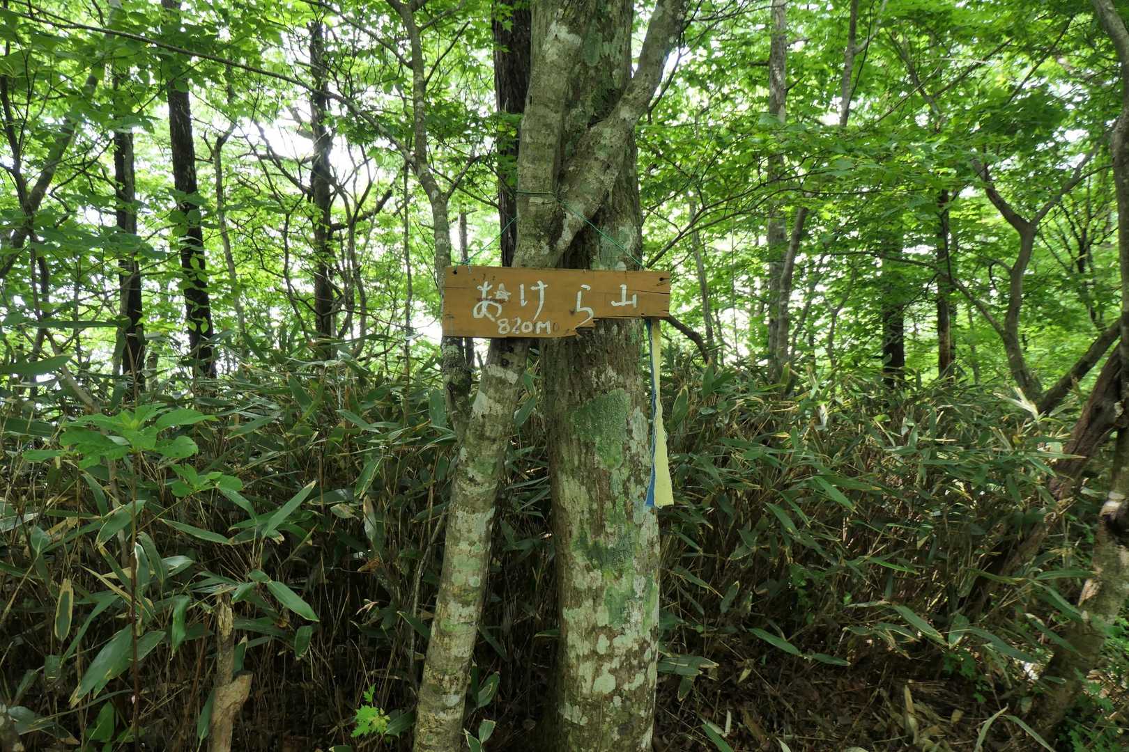 あけら山山頂。
眺望なし。