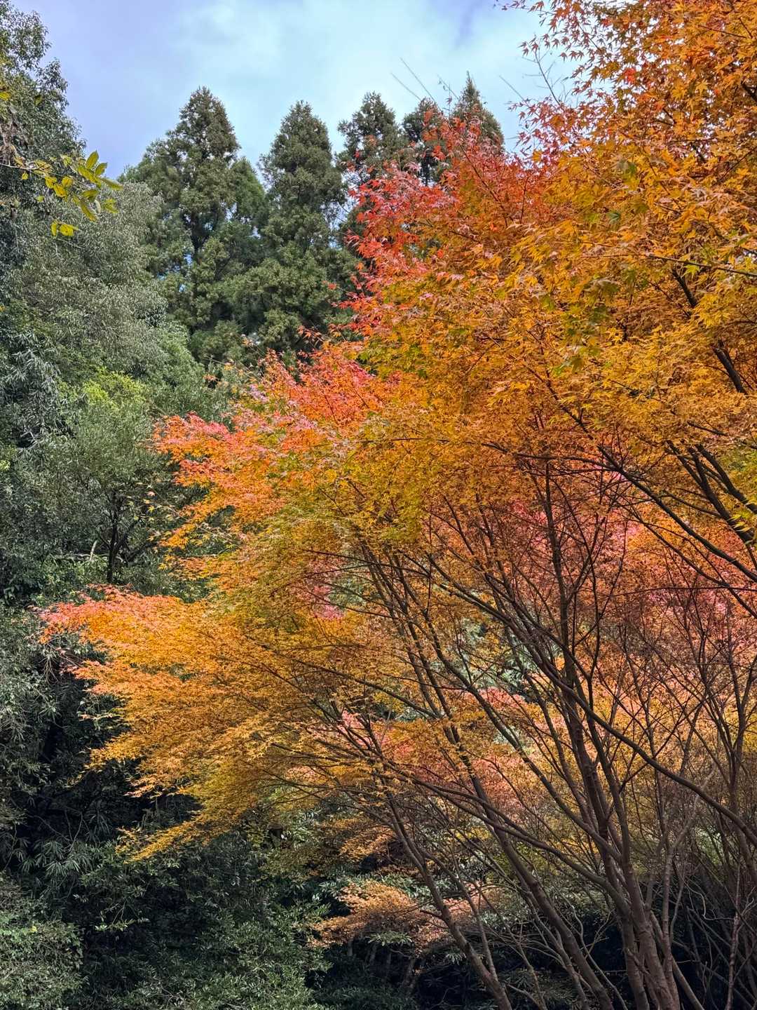 冠嶽神社-東岳-中岳-煙草神社登山口 周回コースの写真