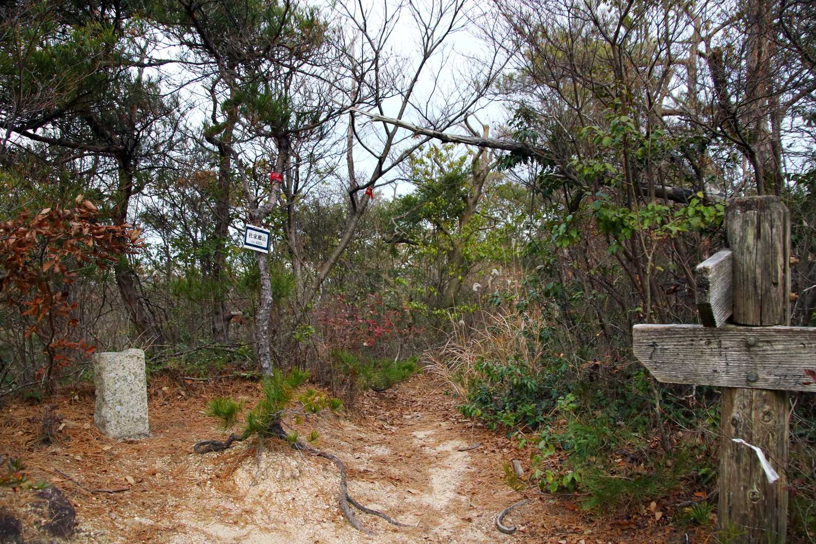 社家郷山。