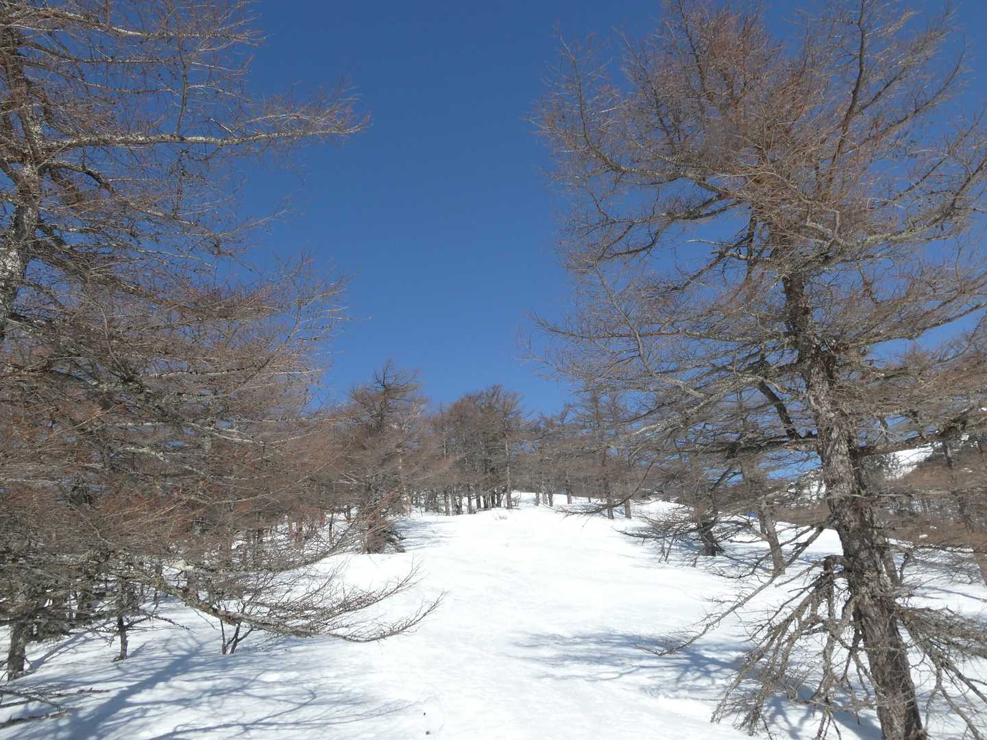 高峰温泉バス停-水ノ塔山 往復コースの写真