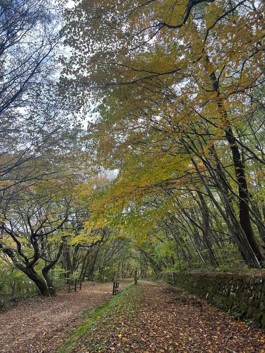 いつものように＂北の原＂からスタート♪