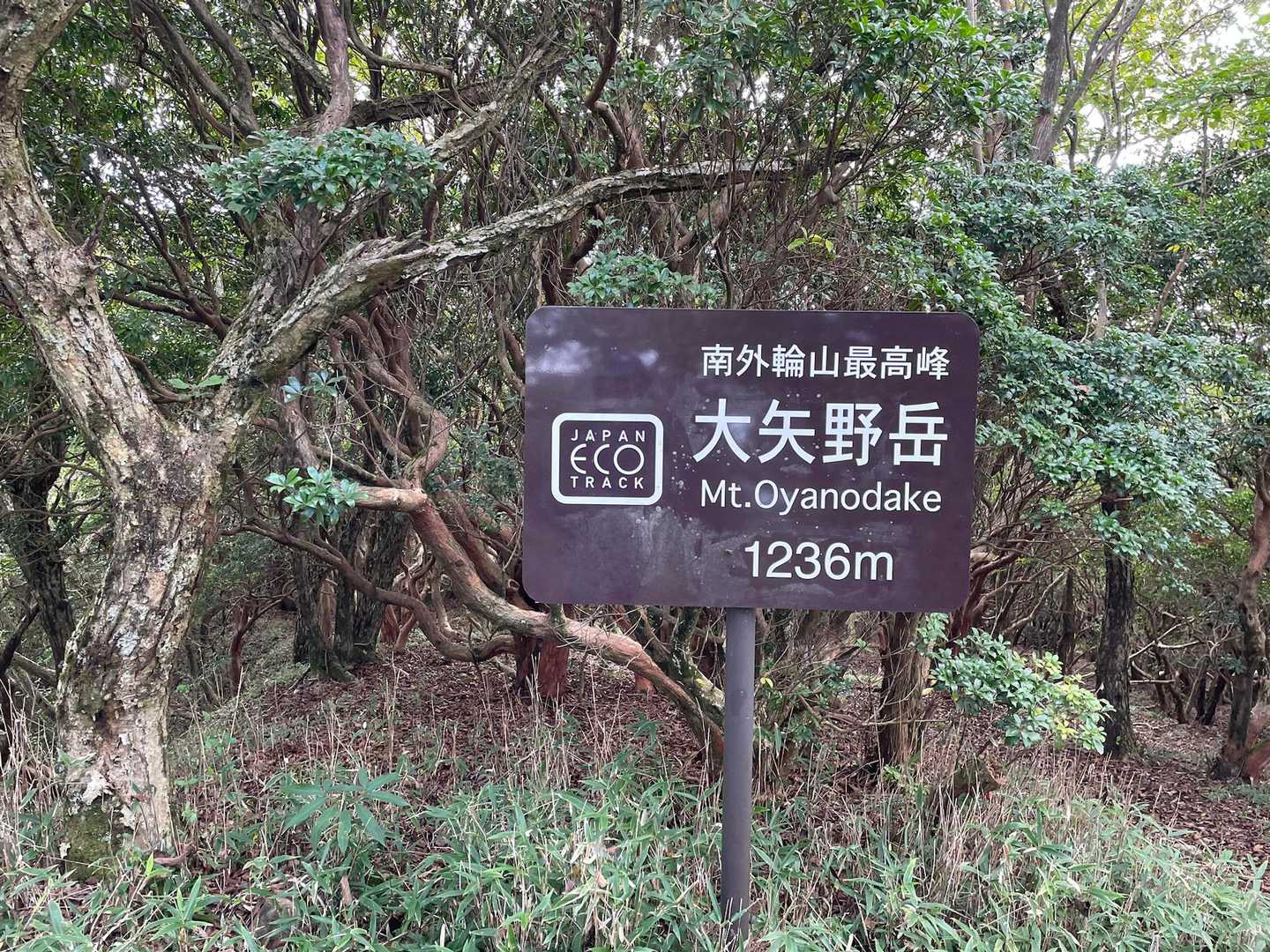 大矢岳-大矢野岳-太郎ヶ迫 往復コースの写真