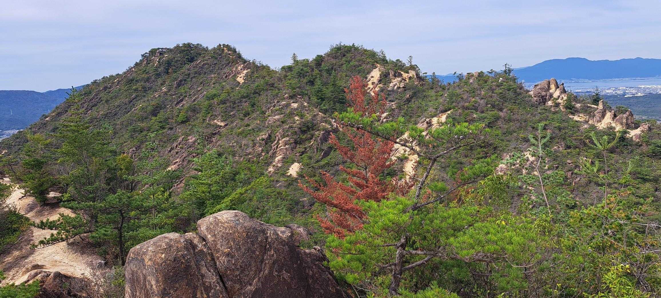 ちょっと紅葉