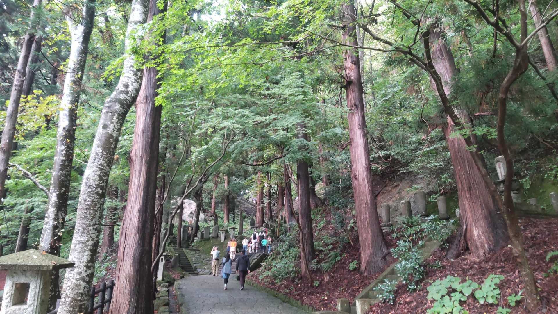 来月は紅葉が素晴らしいとのこと