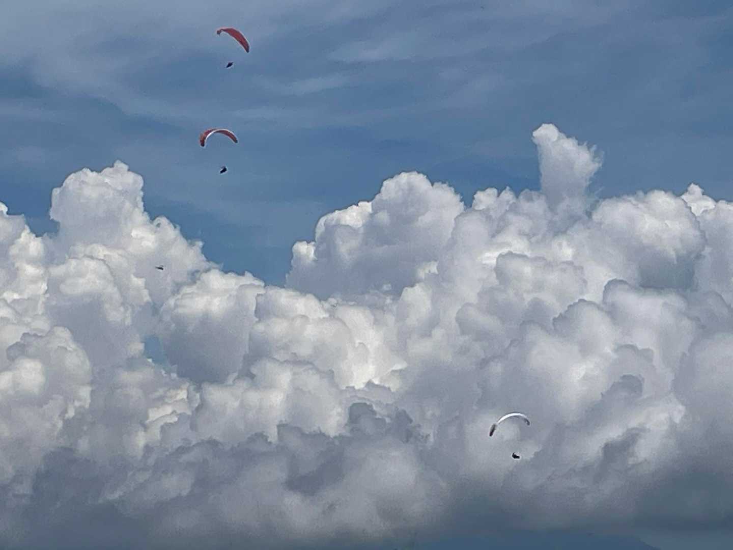 パラグライダーは気持ちよさそうに空を散歩
