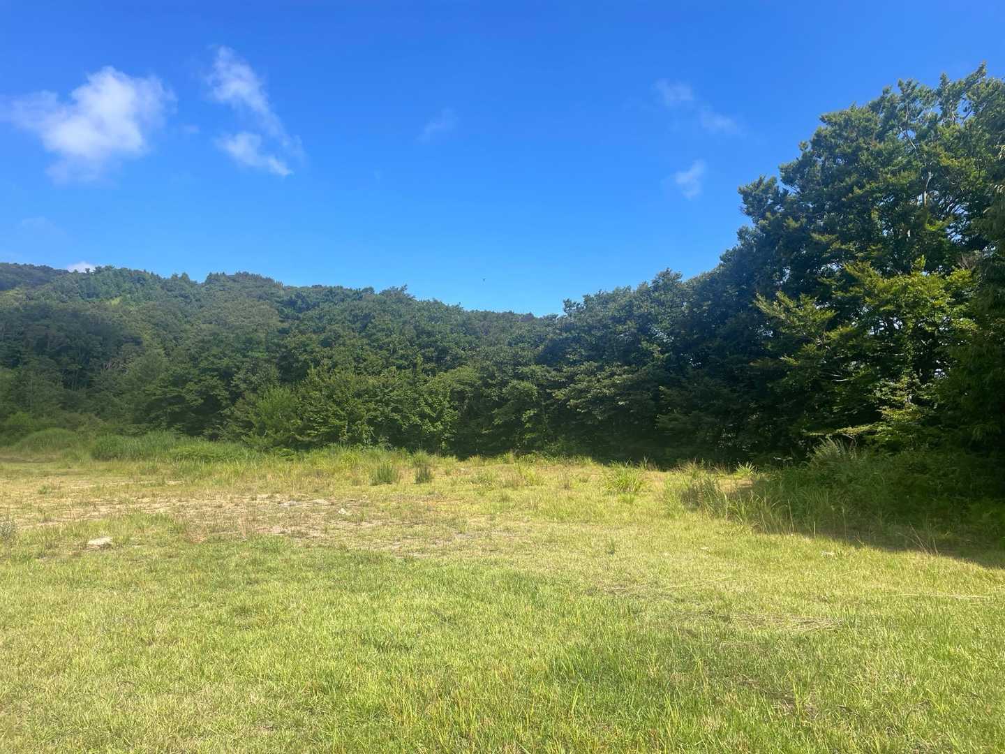 里見エリアにあったリフトと山小屋は解体されて跡形も無くなってた…。
