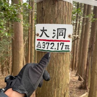 本日ラストの大洞に登頂です👍