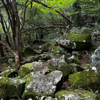 下山中
やはり岩が滑りやすいので慎重に降りる