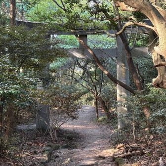 いやぁ、最高だなぁ。
だって嫌というほど宝満の山路を味わっているんだぜ？