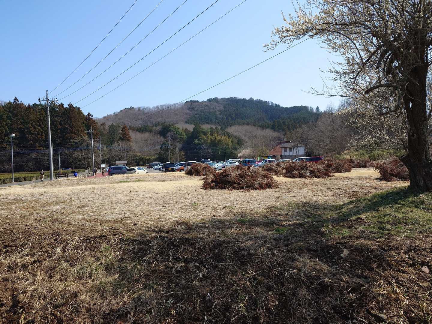 遅いスタートなので、駐車場は苦も無く停められました。
道路沿いにも止まっていたので、満車にもなっていた模様