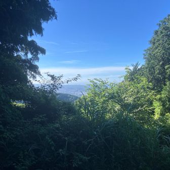 湘南江ノ島は見られず😅
出発します🚶‍♂️