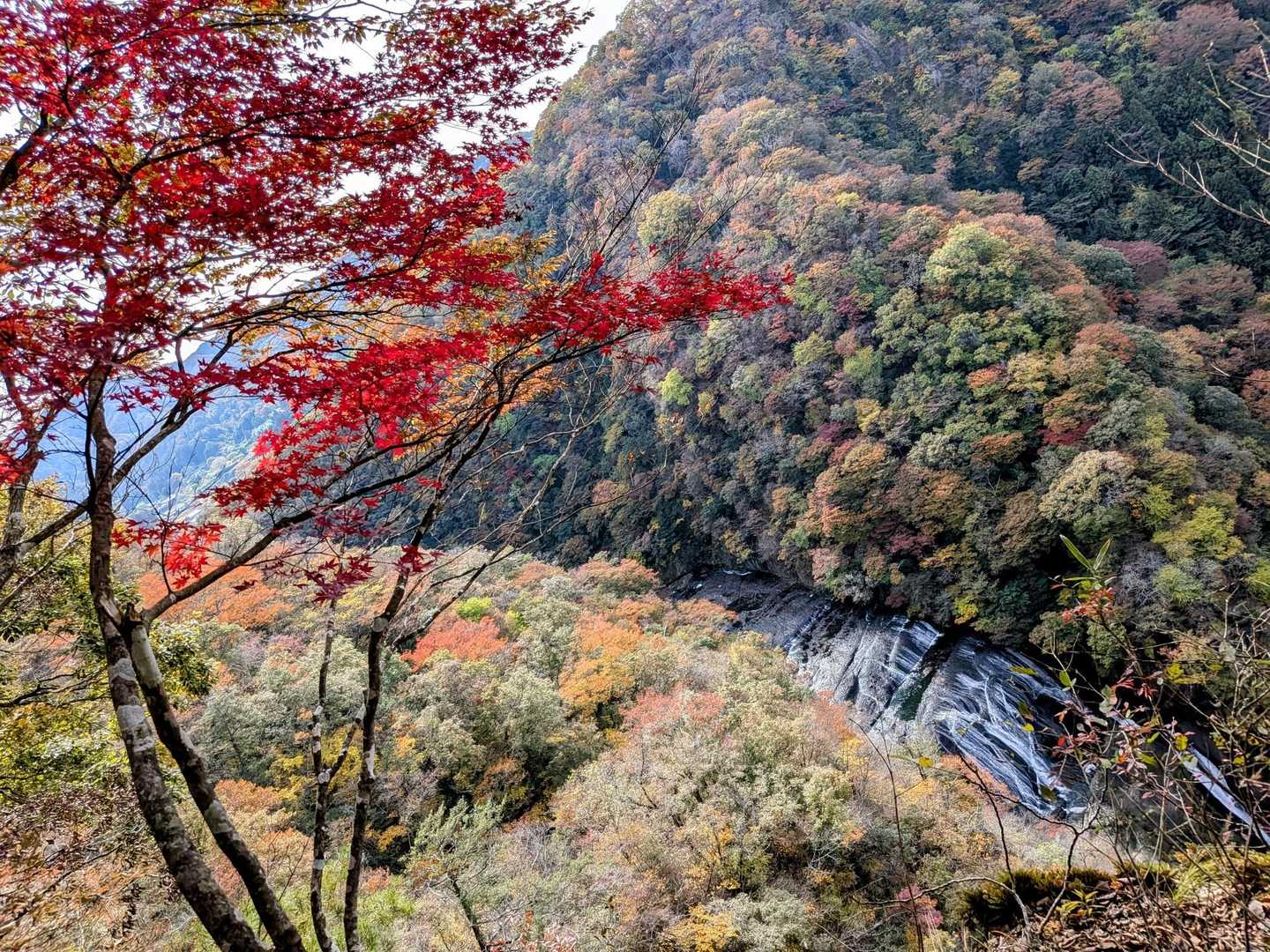 紅葉🍁＆袋田の滝🔎🔍