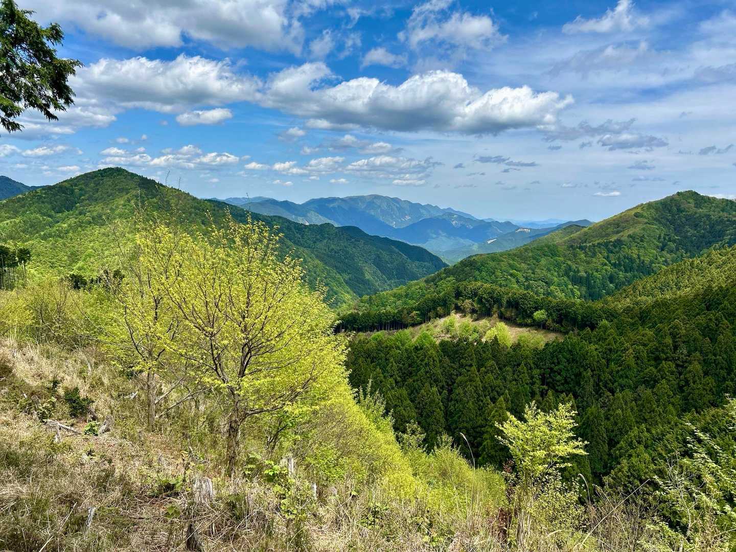 あちらは霧氷がキレイだった三峰山方面