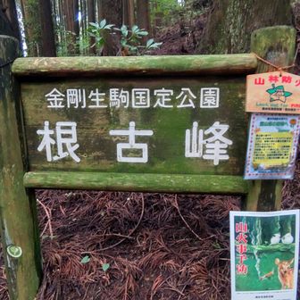 なんで下にあるのよ