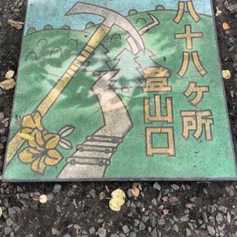 スタートします☝️
