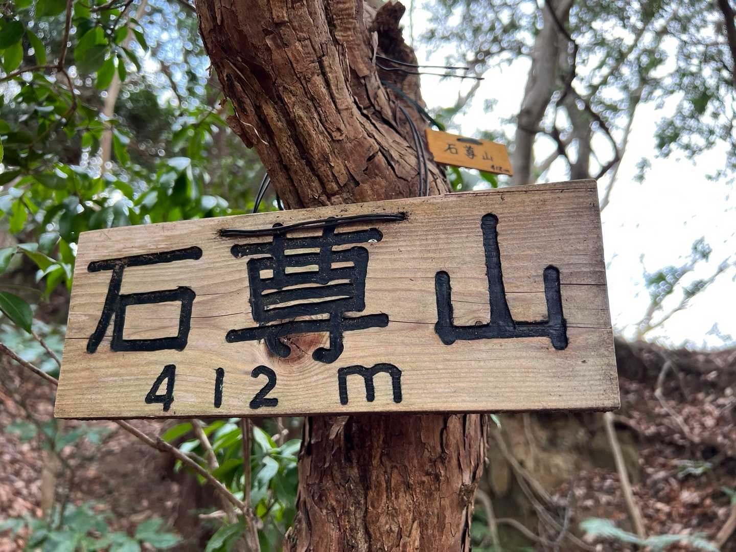 山頂です⛰🏁