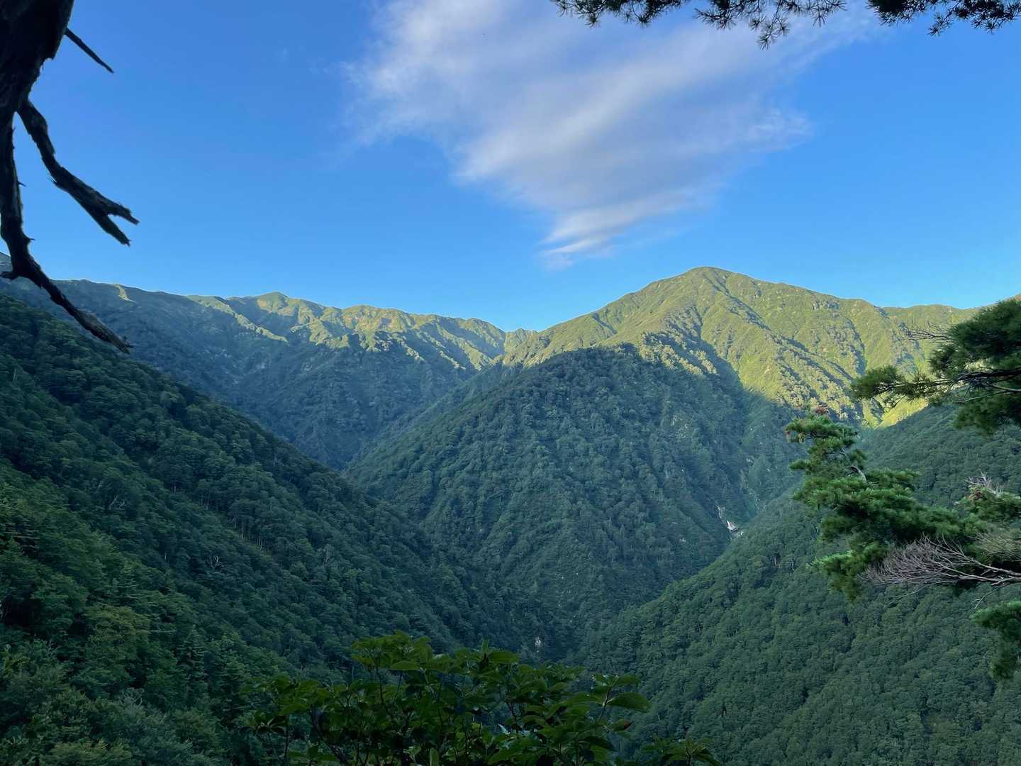 ネコブ山と下津川山に続く稜線