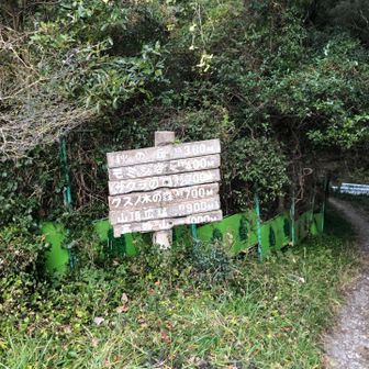 登山口から出発。