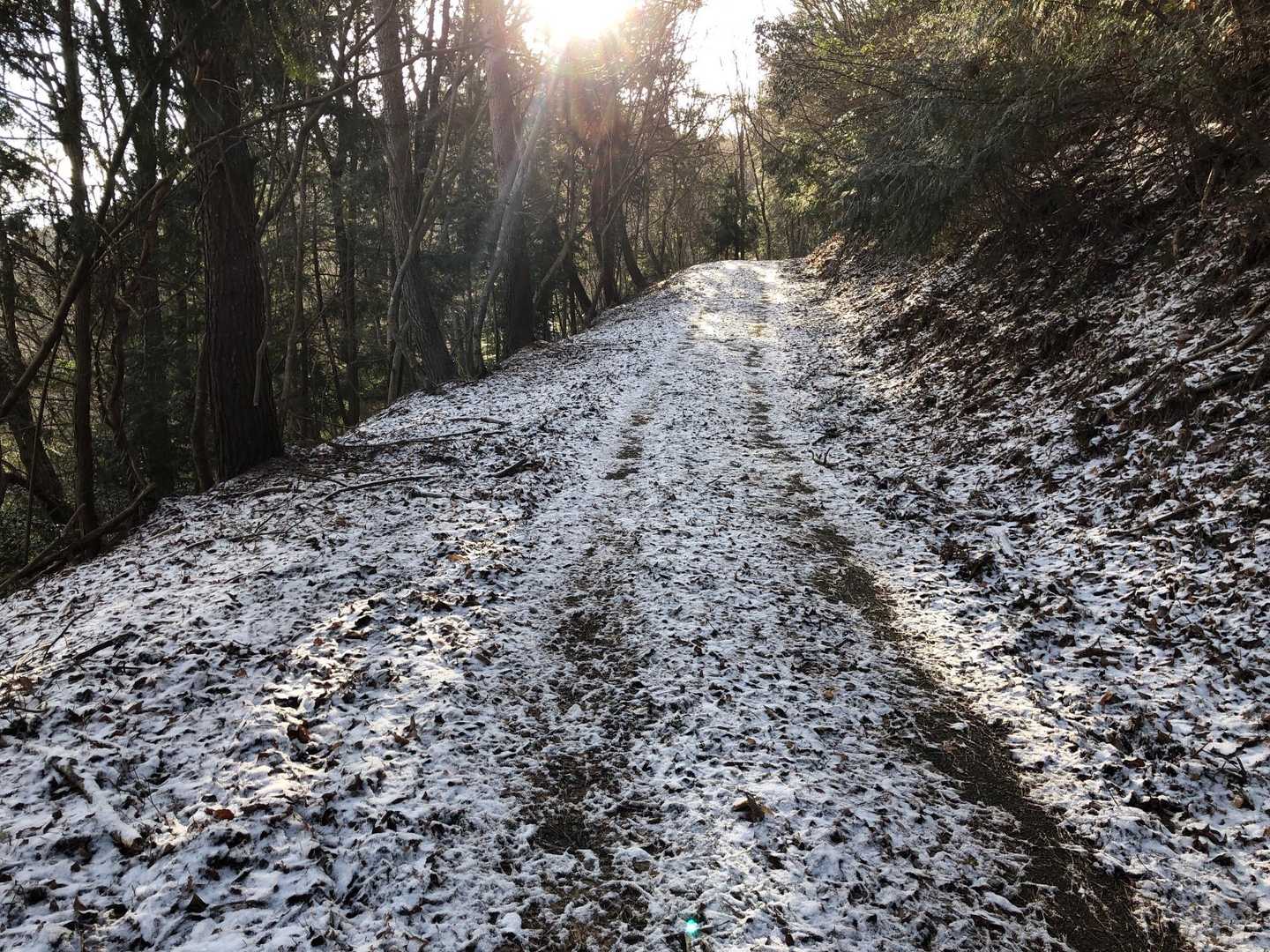 風もなく穏やかな山行になりそう
