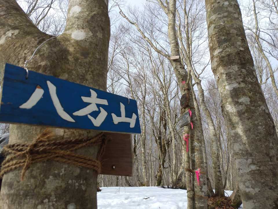 八方山山頂