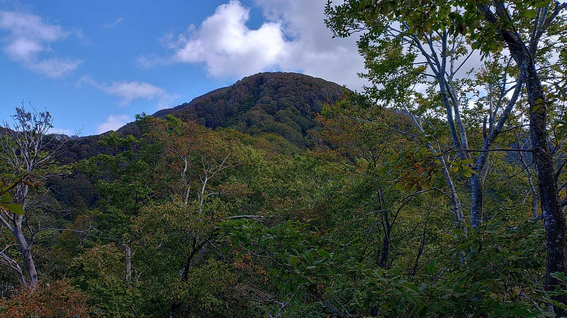 711米峰付近から米山