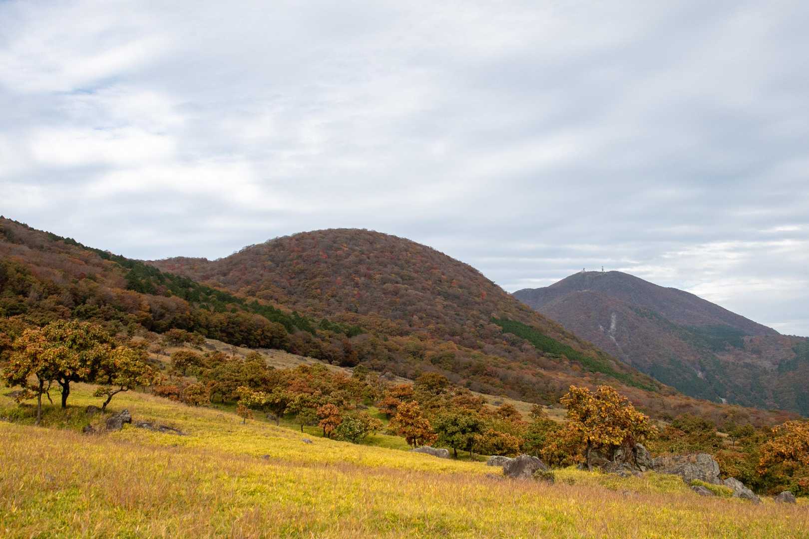 由布登山口バス停-正面登山口-日向岳 往復コースの写真