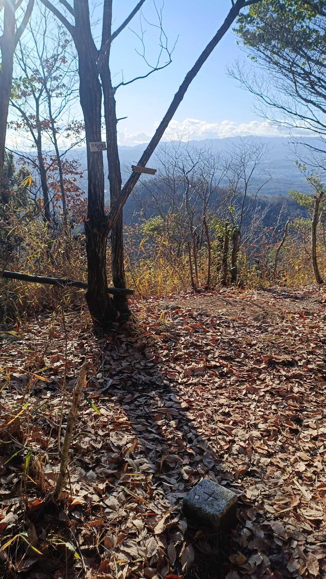 金比羅山