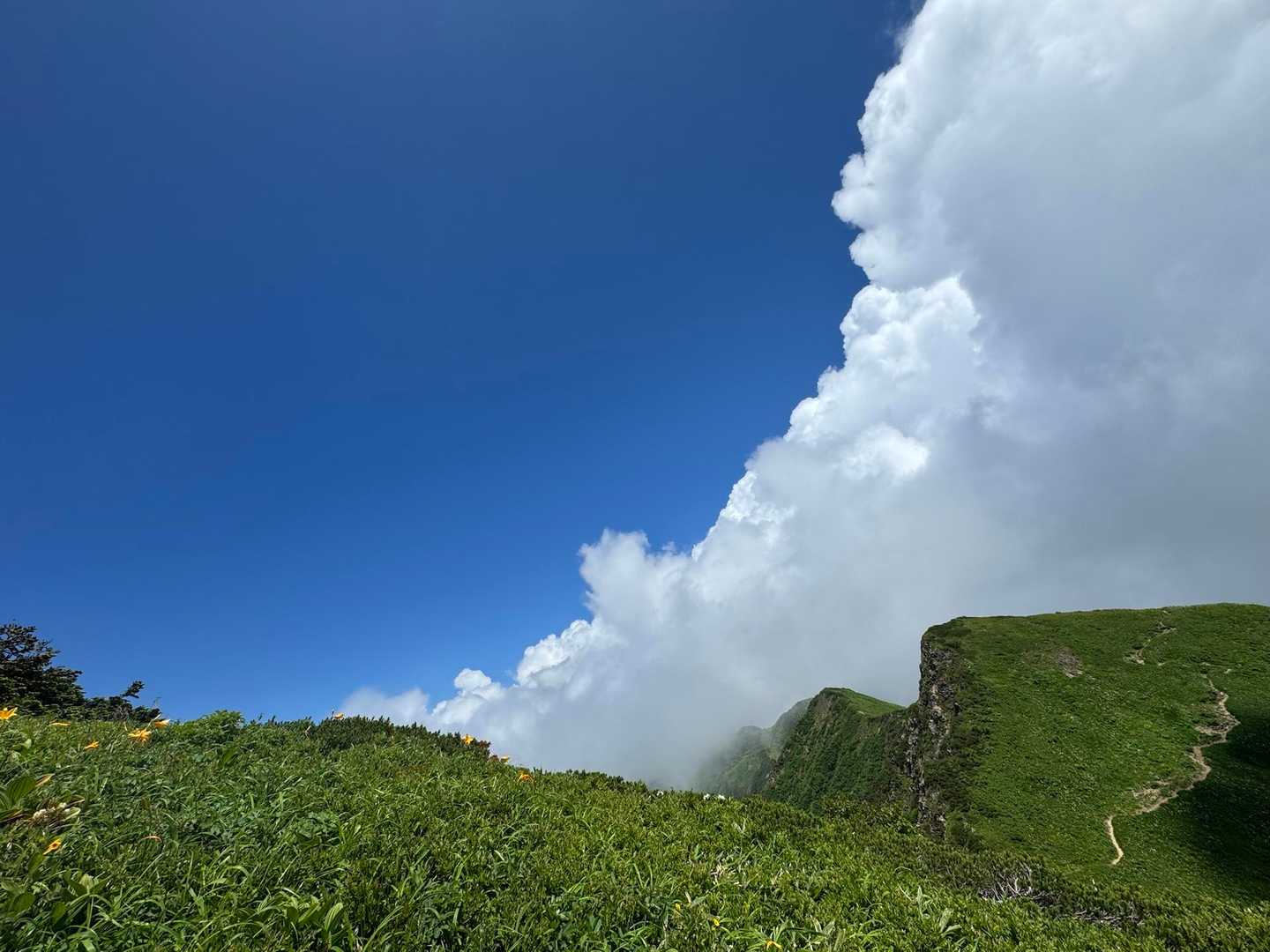 青空が出るたびにテンション⤴️
しかーーし、お日様出ると暑い🥵