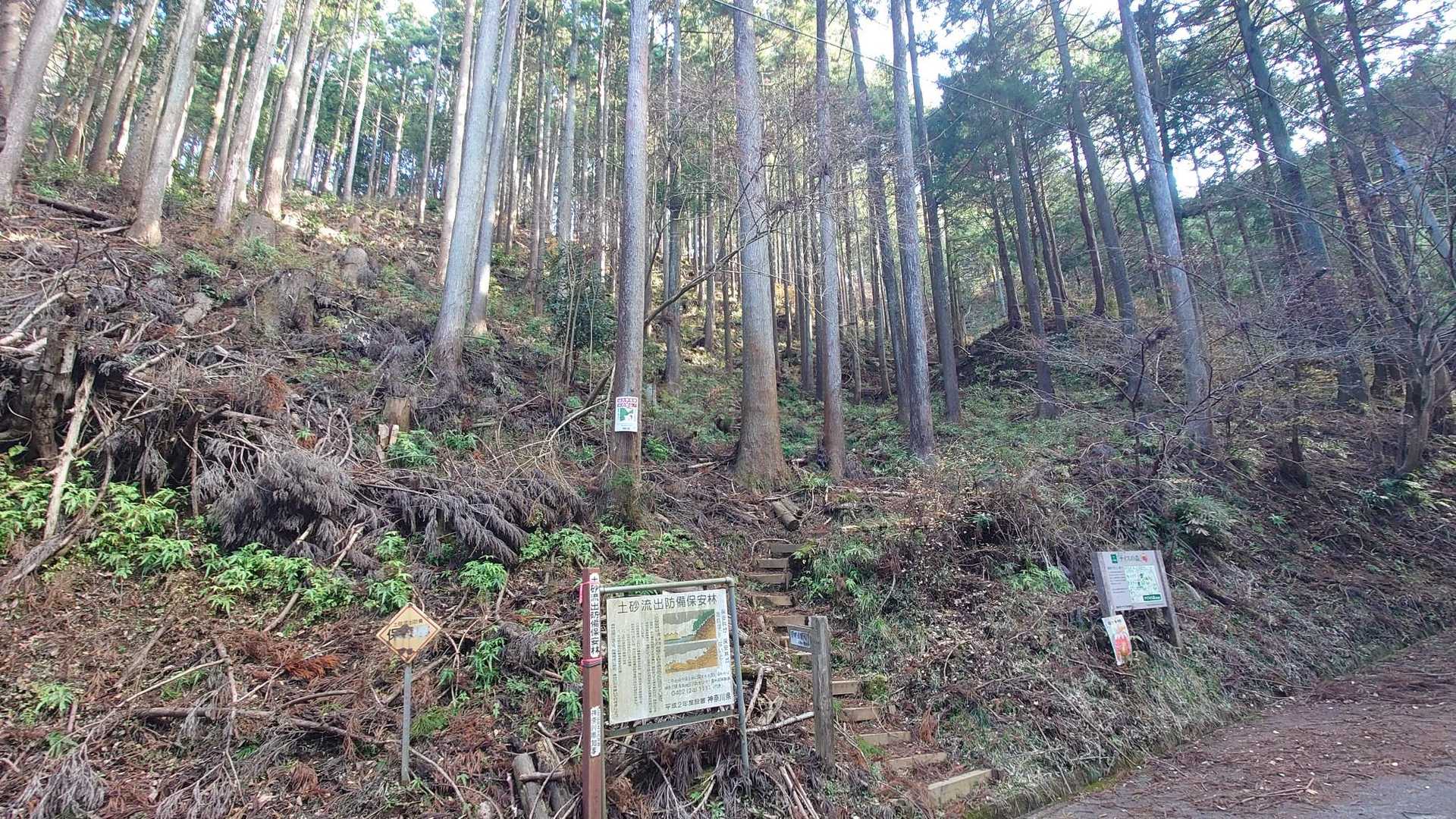 今日はここでおります😁