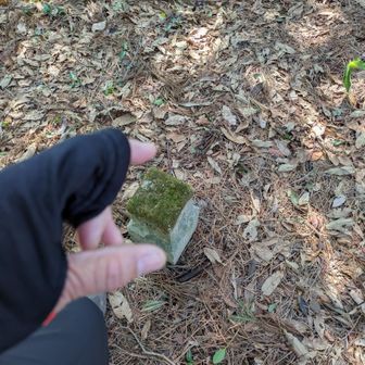 向山看板なし
ゲット
ココから次の山までのルートが不明瞭