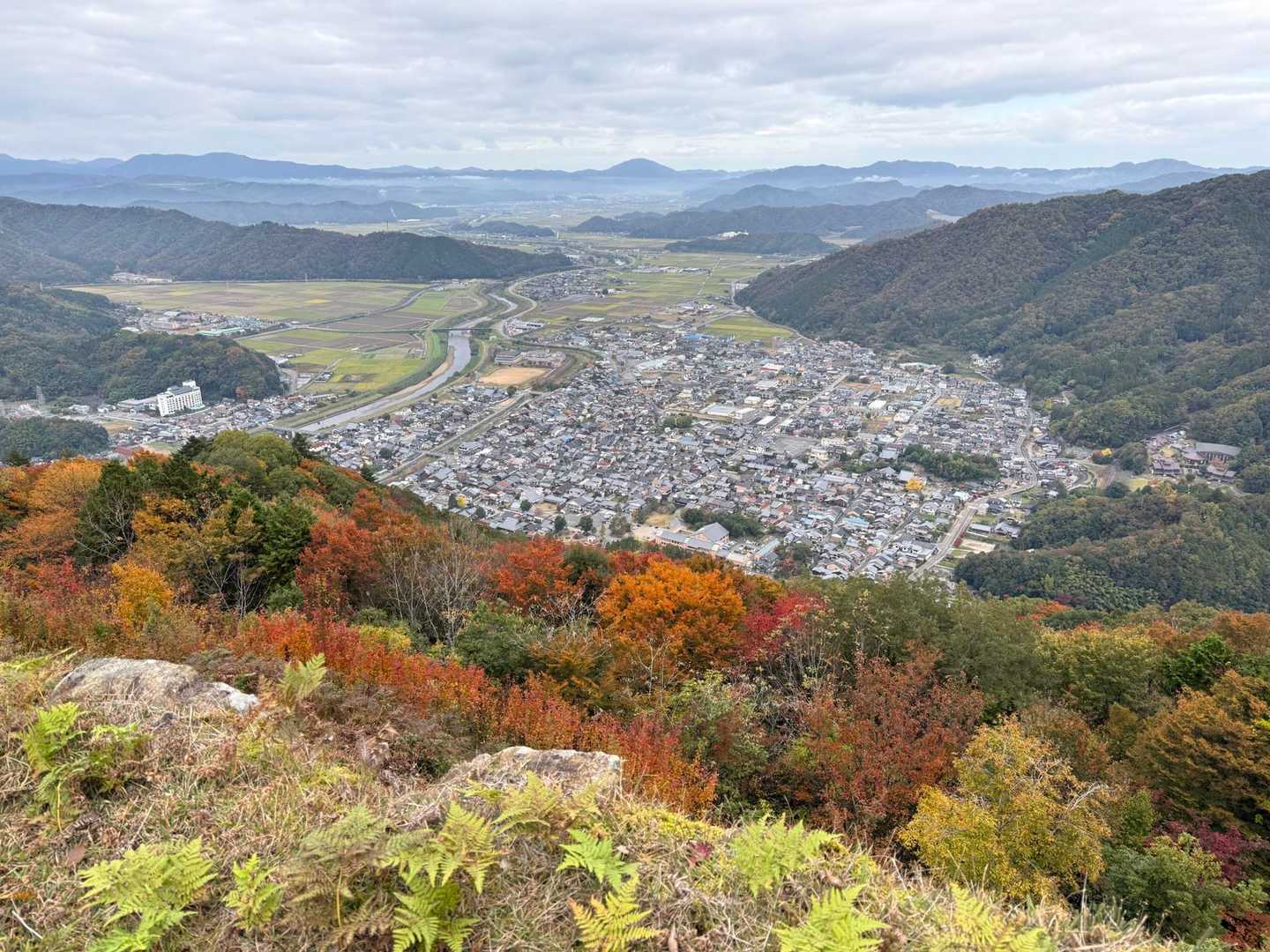 紅葉がいい感じ
