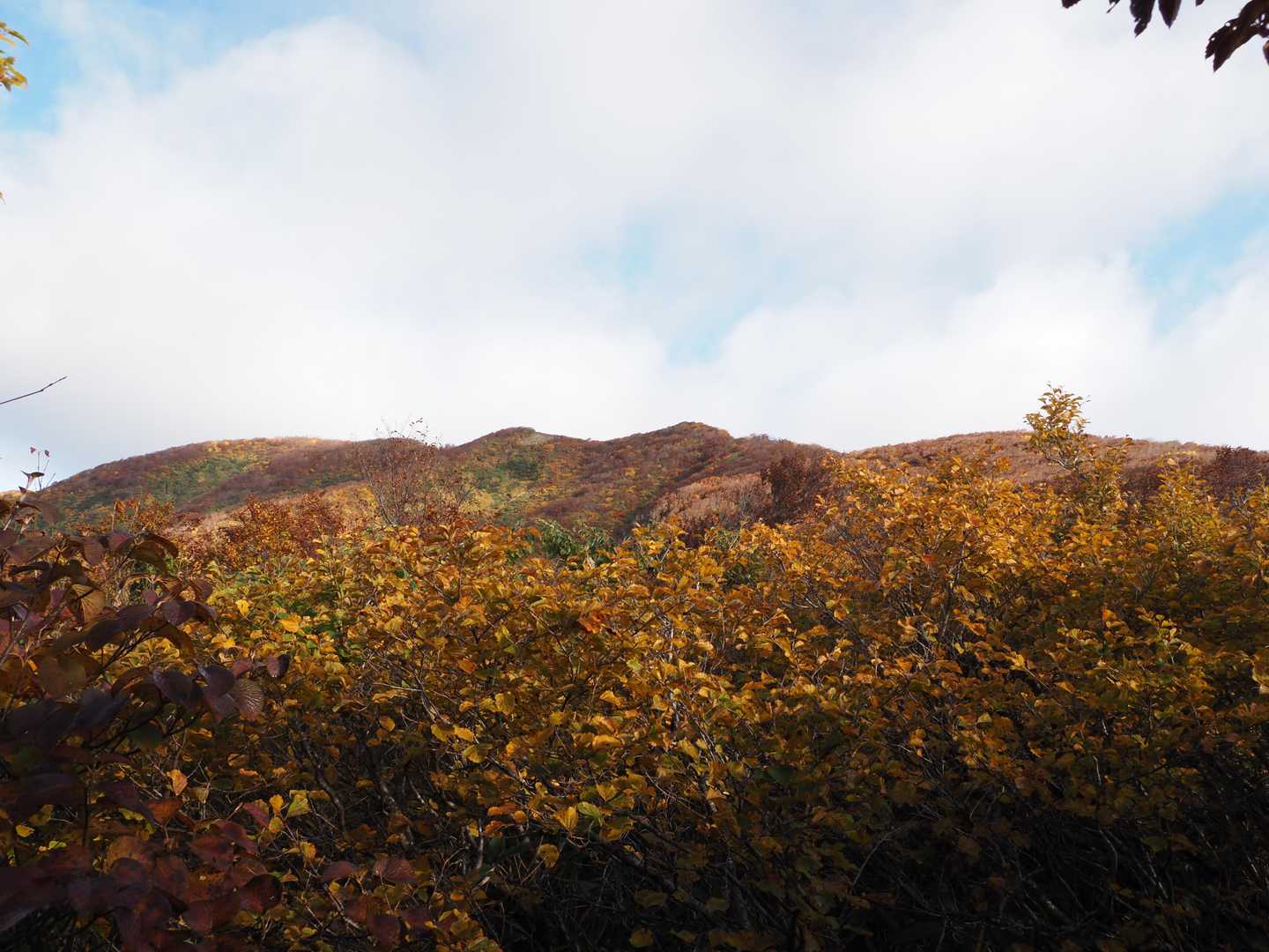 田子倉只見沢登山口-剣ヶ峰-浅草岳-鬼が面山-南岳-マイク 縦走コースの写真