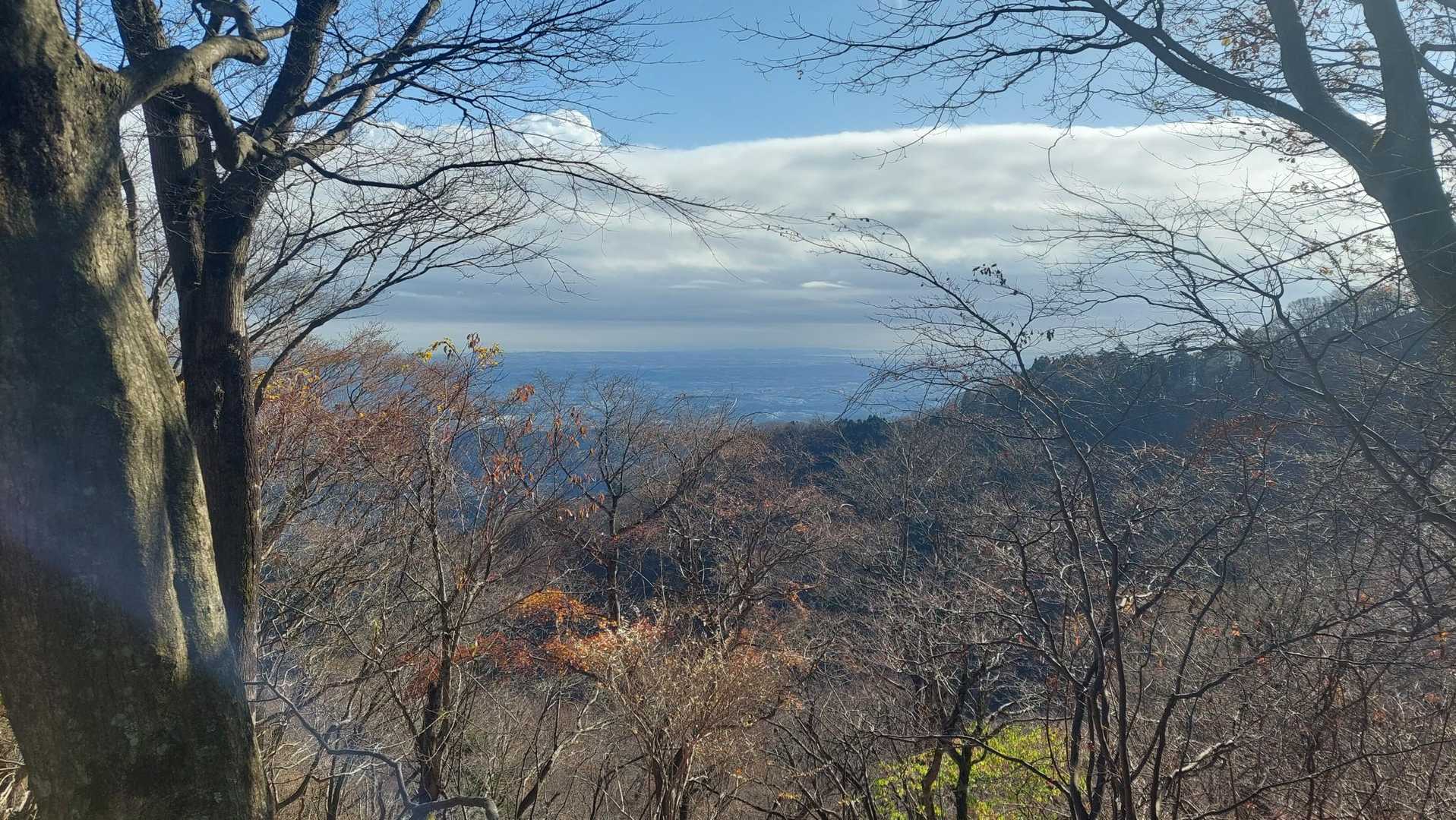 土山峠バス停-辺室山-物見峠-三峰山 縦走コースの写真