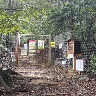 閉めて南宮大社へ