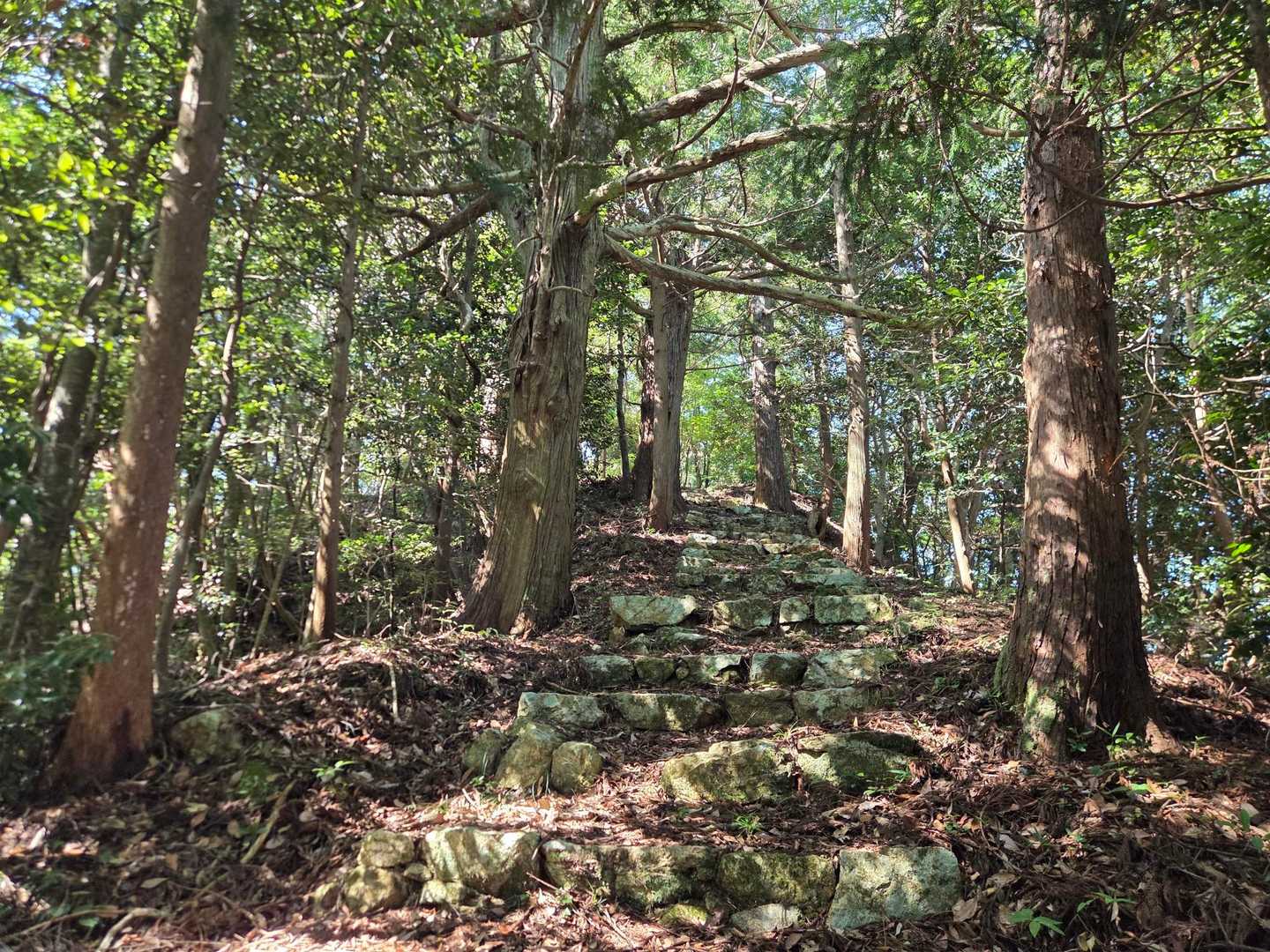 本明山 往復コースの写真