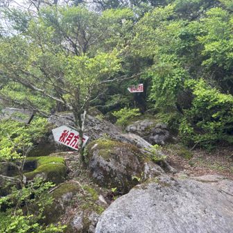 道間違えない様に、遊人の杜方面へ。