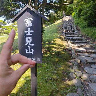 フジヤマは🗻1ミリも見えません🫪