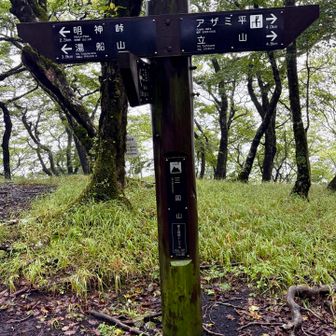 三国山頂まで踏跡があちこちにあり
明確な登山道がどれか分からない
逆を言えばどこでも登れる