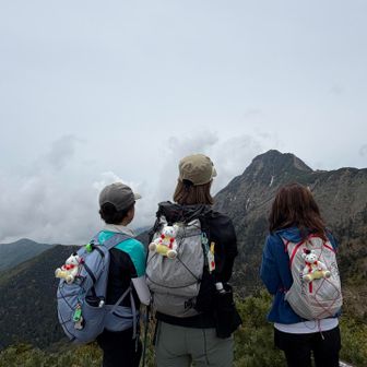 金峯山寺からお供にしたクマブシ君、今日もお供をしてもらいました🧸