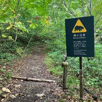 岐阜の上のほうだもん、そりゃー熊の生息地だわさ(￣∀￣)