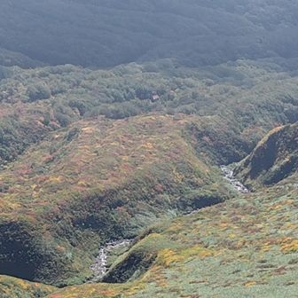 真ん中に🛖万助小屋🍁