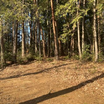萩の峰。峰ってほどではないが、地面に膨らみがあります。