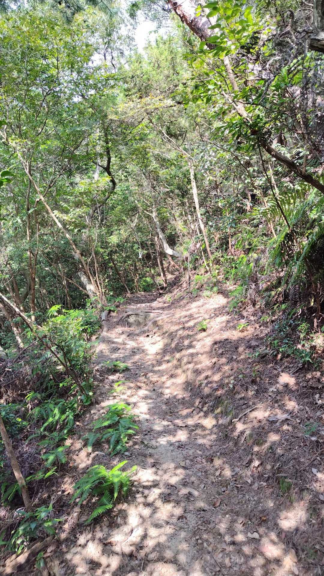 もうすぐ山頂です。