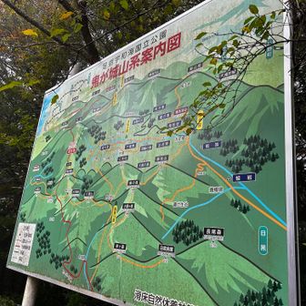 鹿のコル到着
地図見たら他に熊のコル、猪のコルもあります
もしかしてそれぞれポイントで待ち構えてるとか？🦌🐻🐗